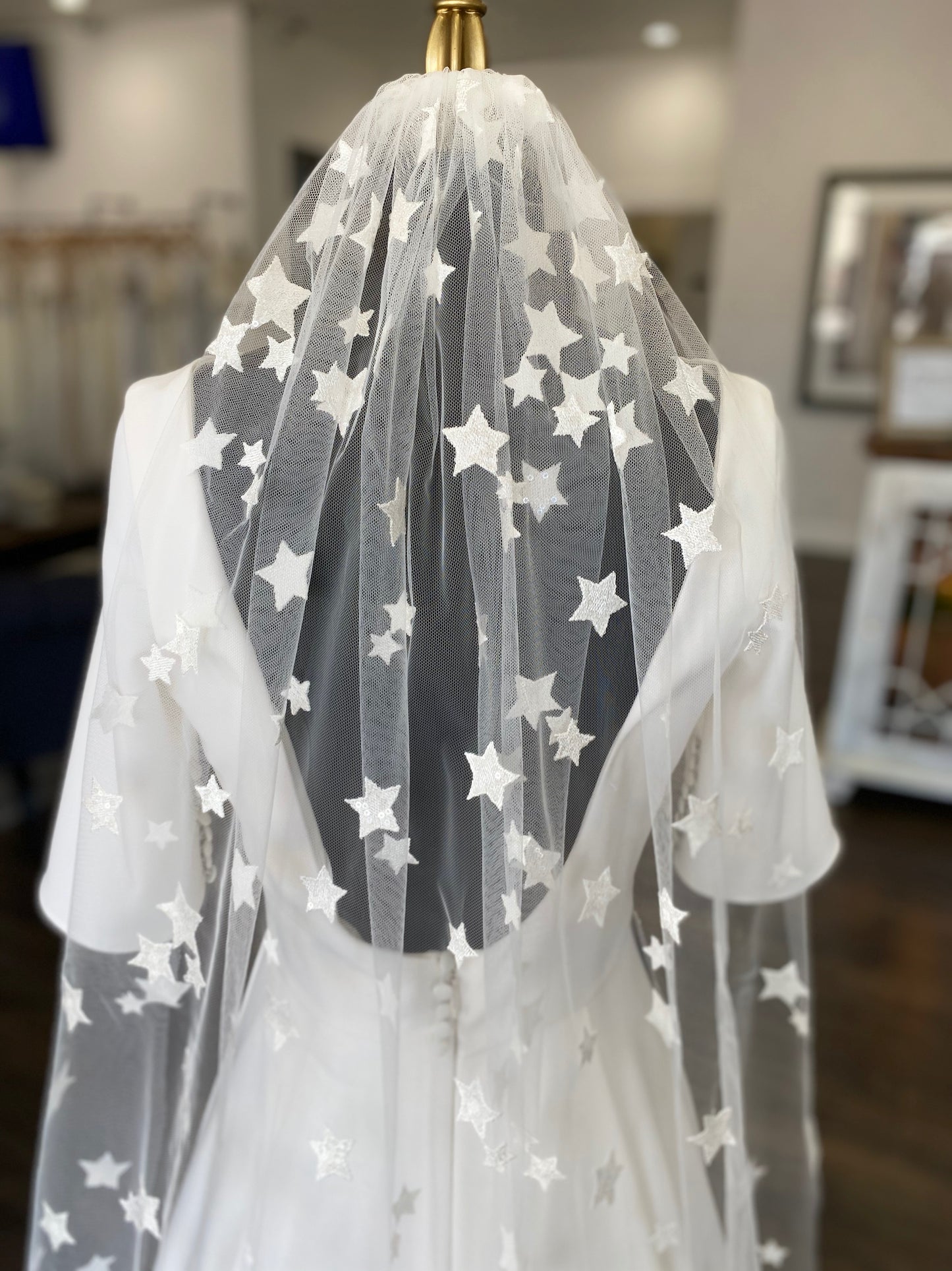 Nova star veil in cathedral length paired with a simple vintage wedding gown